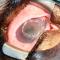 Grote ulcer Engelse Bulldog na BioSISt